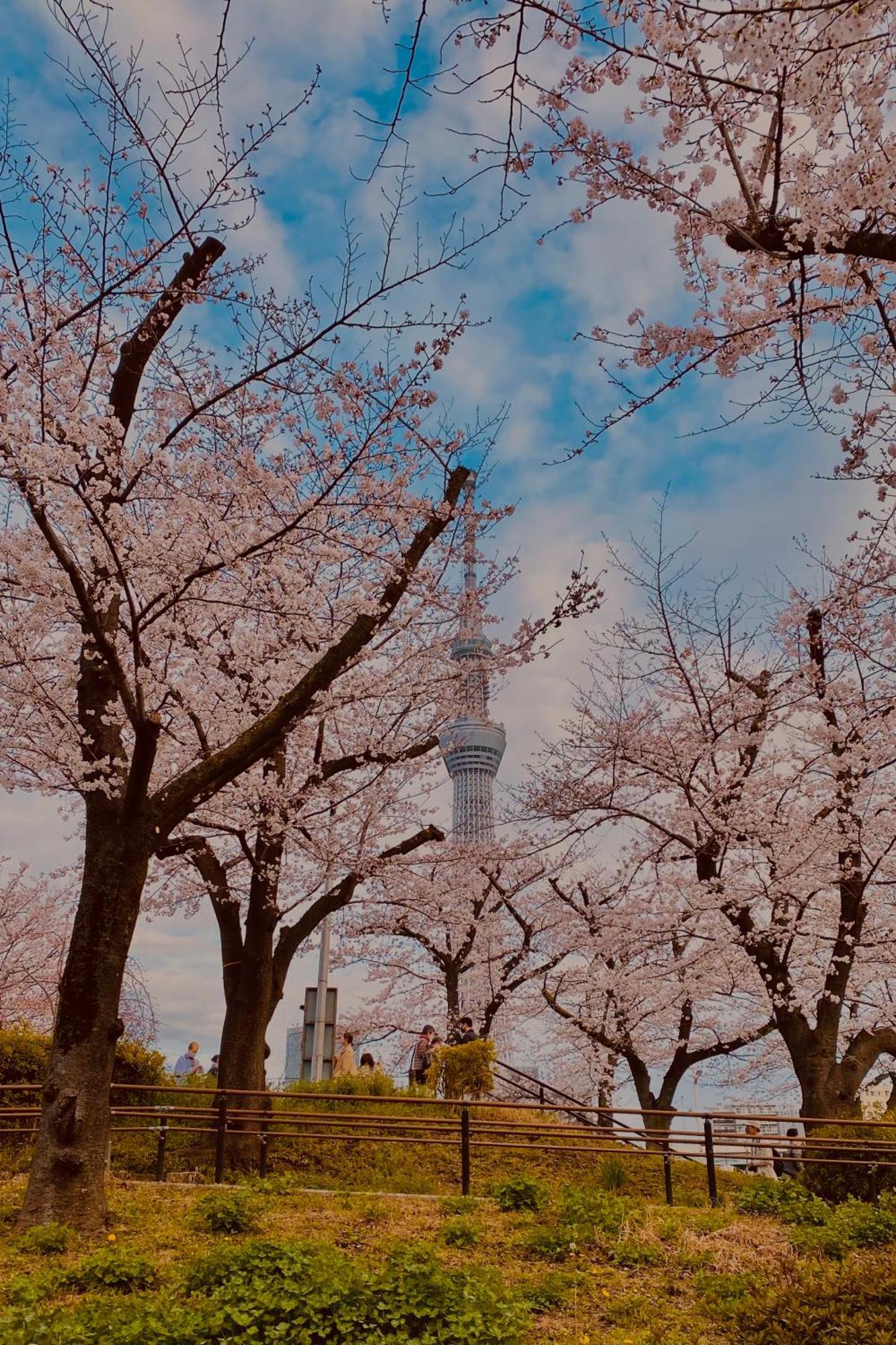 Toe Library Asakusa อพาร์ทเม้น *
